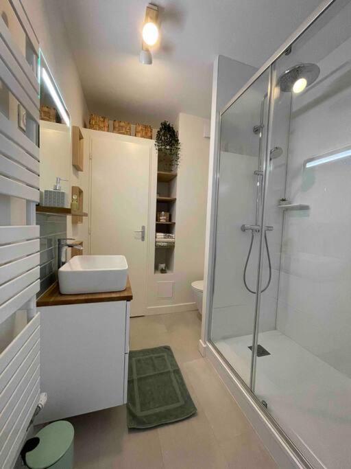 Cocon Douillet Pres De La Gare. Apartment Nancy Exterior photo